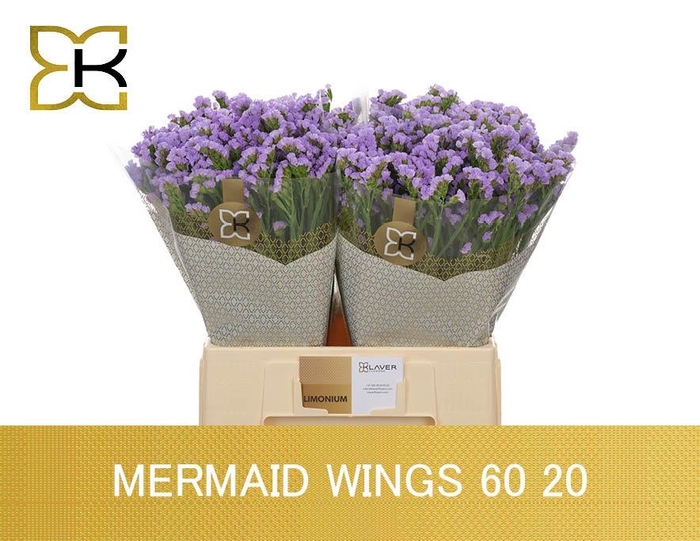 <h4>LIM S MERMAID WINGS</h4>