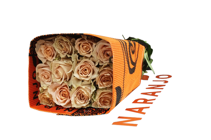 <h4>R GR CARAMEL MACCHIATO Naranjo</h4>