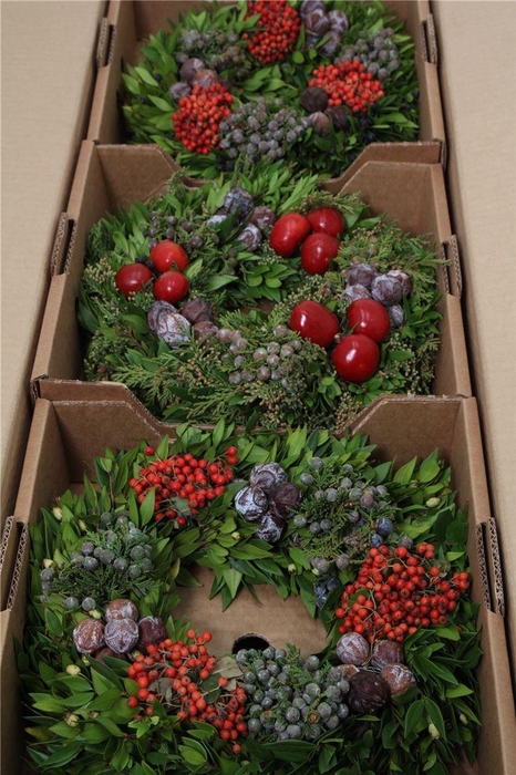 <h4>Sierfruit Krans H%</h4>