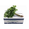 Salal Tips Mt St Helens Extra