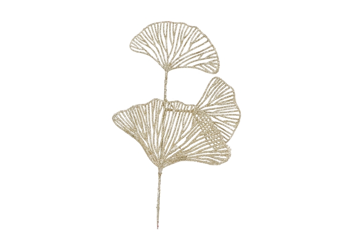 Pick Shine Lotus Cozy Gold 40cm Per 12