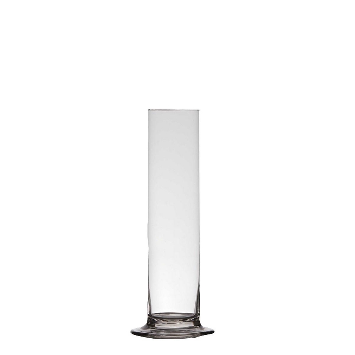 <h4>Glas Cilinder/voet d06*20cm</h4>