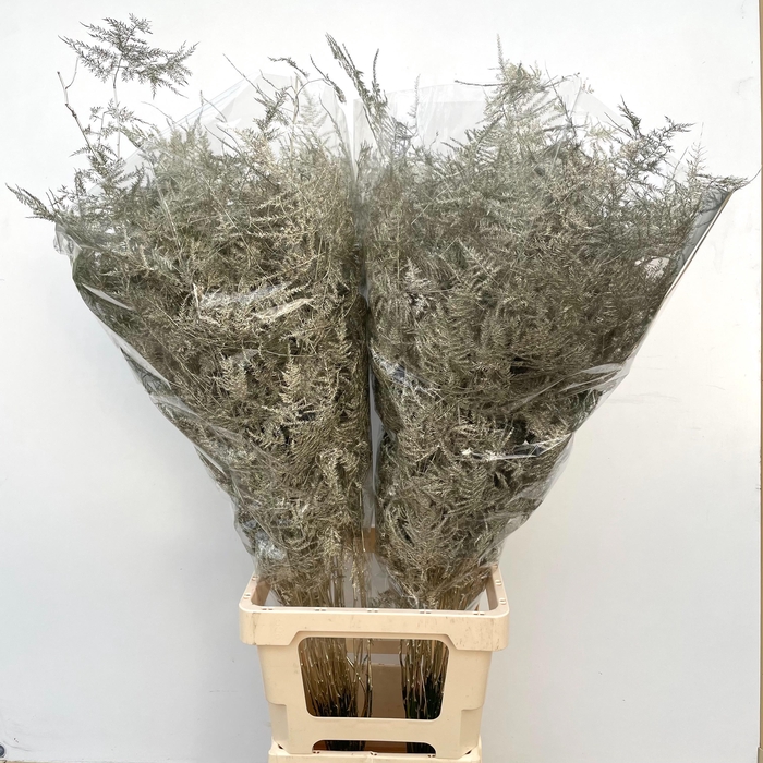 <h4>ASP OV KLB H%</h4>