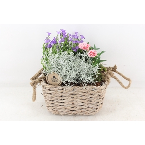 arr4 Outdoor PL - Mand rechth. oor 338/4