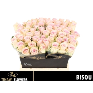 R Gr Bisou