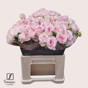 R TR Love me with Fatal attraction