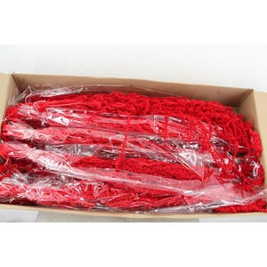 PF Amaranthus Hang Red Bs