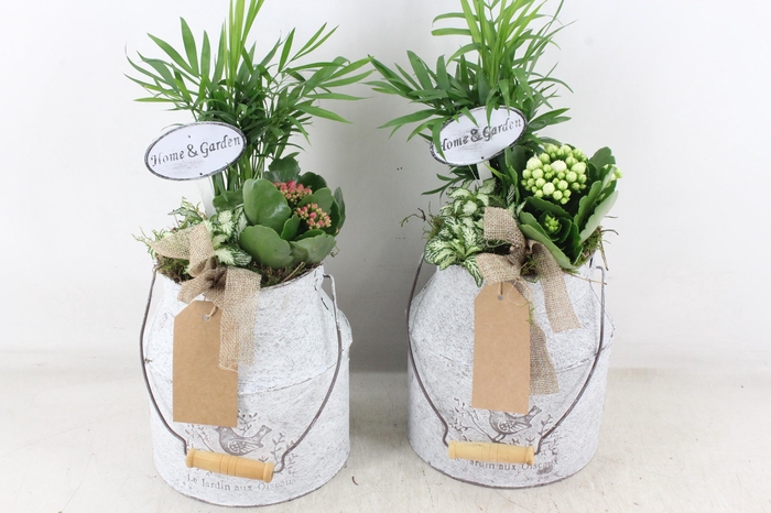 <h4>arr2 TD - Zink melkbus - roze/wit</h4>