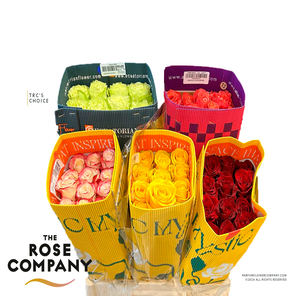 Rosa Ecuador Mix X100