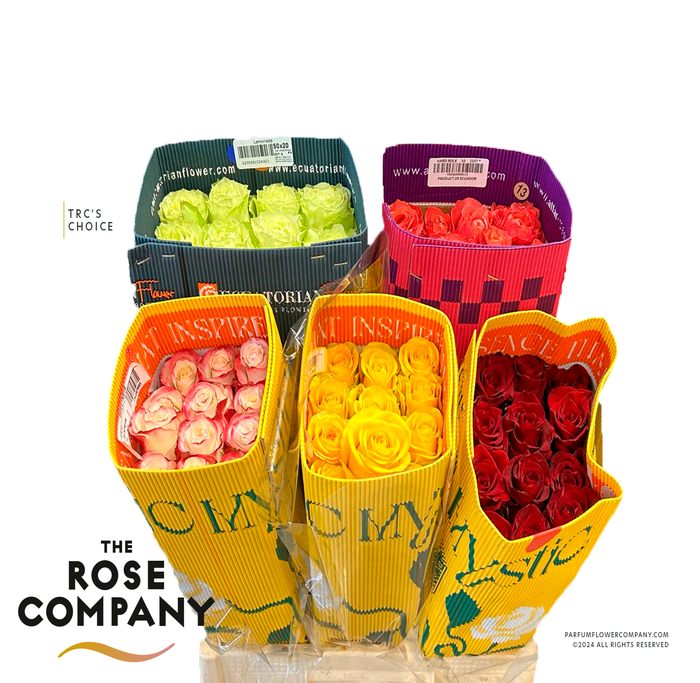 <h4>Rosa Ecuador Mix X100</h4>