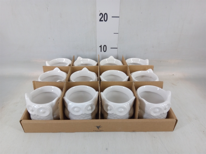 <h4>Pot   ...Keramische H%</h4>
