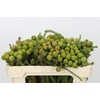 Kaaps Groen Baubles