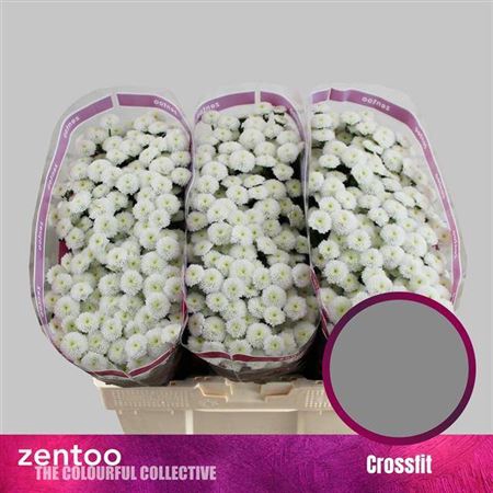 <h4>Chr S Crossfit</h4>