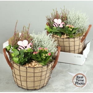 ARR TUINPLANTEN