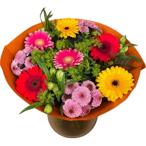 Bq Confetti Colors Rainbow L