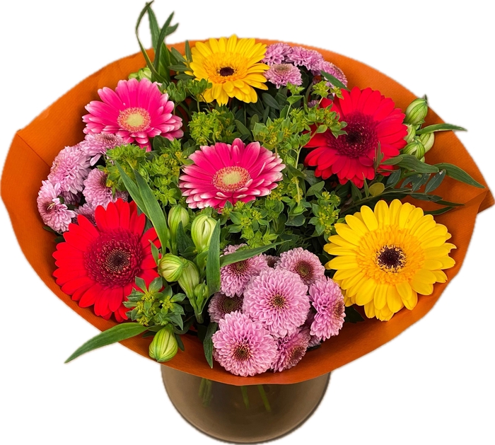 <h4>Bq Confetti Colors Rainbow L</h4>