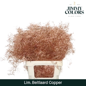 Lim Bel L70 Metallic copper