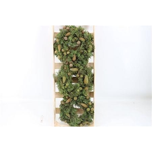 SIERFRUIT KRANS H%