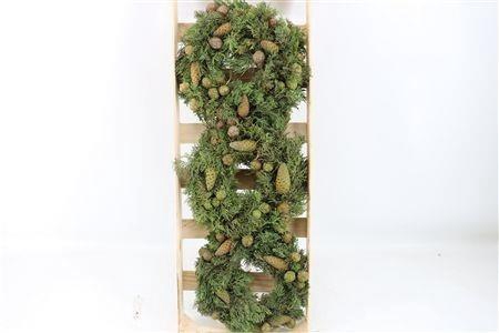 <h4>SIERFRUIT KRANS H%</h4>