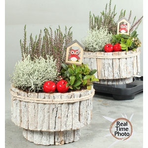 ARR TUINPLANTEN