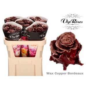 R GR WAX BORDEAUX BLING COPPER