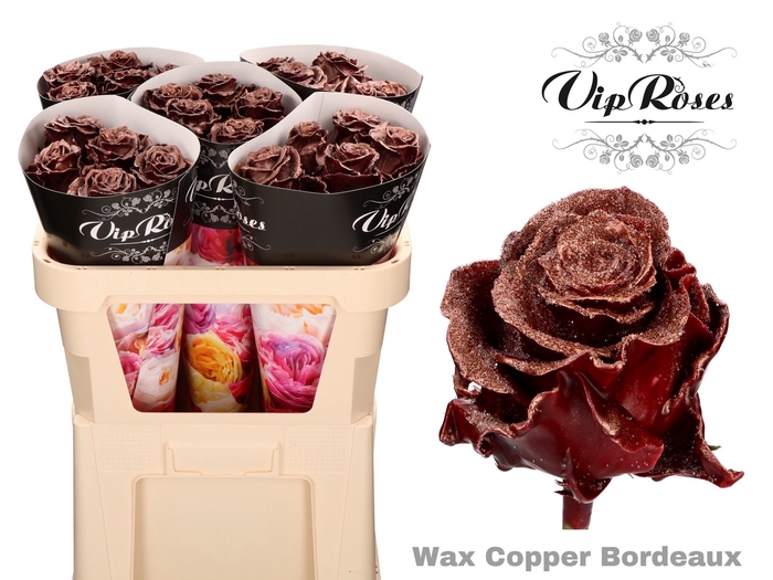 <h4>R Gr Wax Bordeaux Bling Copper</h4>