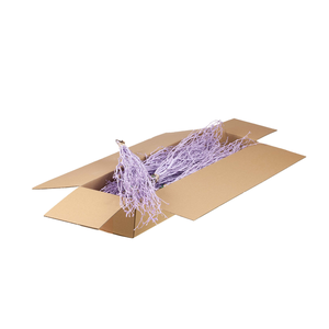 Birch 60cm 10pc Sb Lilac Misty