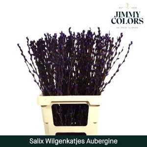 Salix Katjes L70 Aubergine