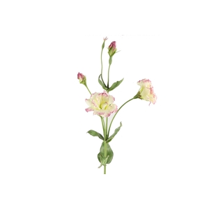 Af Lisianthus L93cm Wit/paars