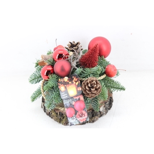 arr5 Kerst MB - Hout schijf x5 led red