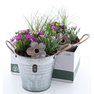ARR TUINPLANTEN