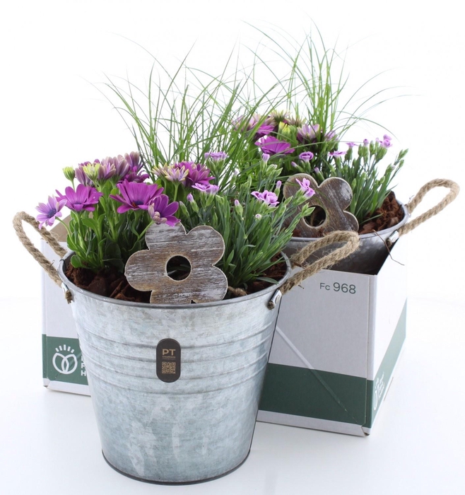 <h4>ARR TUINPLANTEN</h4>