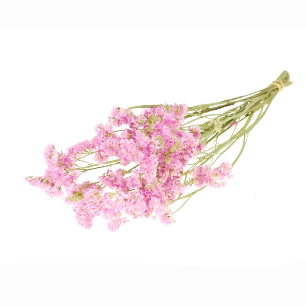<h4>Statice Sinuata Sb Natural Light Pink</h4>