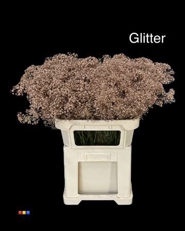 <h4>Gyps Million Star Copper + Glit Bio</h4>