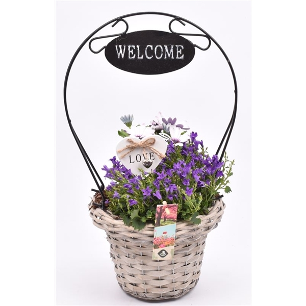 <h4>Wilg henselmand ''Welcome'' 19x44cm</h4>