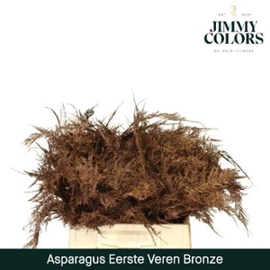 Aspa 1ste veren Bronze
