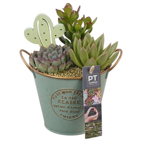 <h4>Opm Pt PTSU8509 Succ Zink Pot</h4>