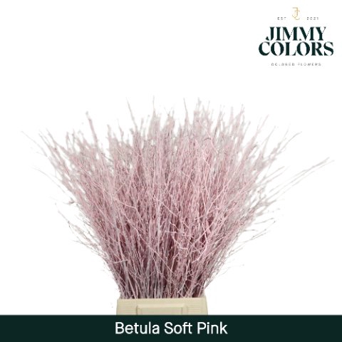 <h4>Betula paint pink light</h4>