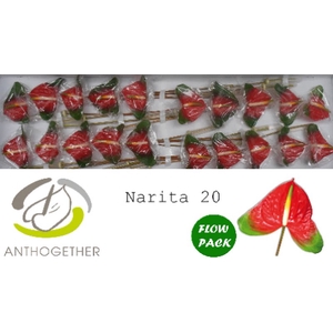 Anth A Narita 9 cm X20 Flow Pack Oosterzon