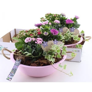 ARR TUINPLANTEN