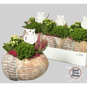 ARR TUINPLANTEN
