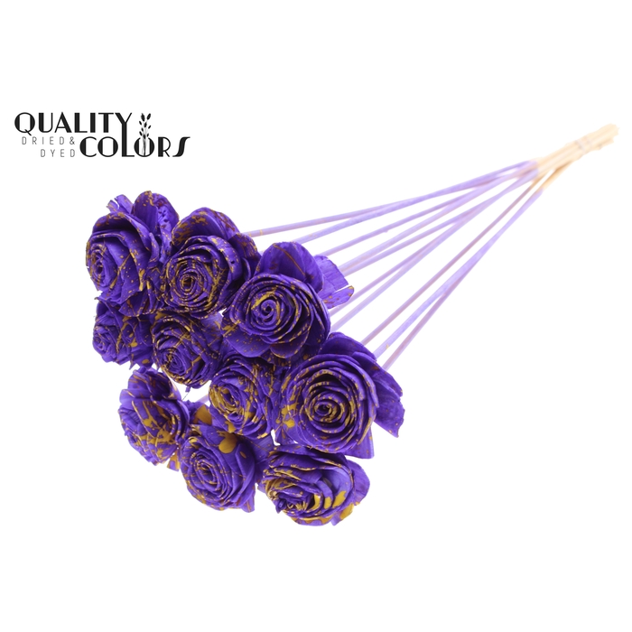 <h4>Shola Beauty Rose 6cm on stem Splashed Purple/Yellow</h4>
