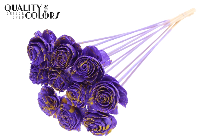 Shola Beauty Rose 6cm on stem Splashed Purple/Yellow