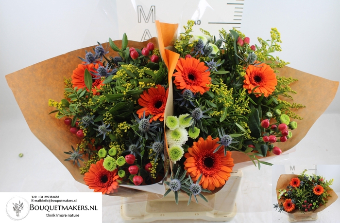 <h4>GEM BOEKET OV</h4>