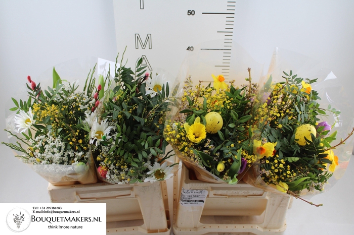 <h4>GEM BOEKET OV</h4>