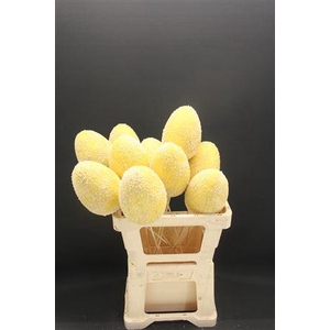 A Eieren Foam Yellow 996