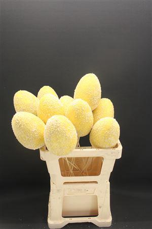 <h4>A Eieren Foam Yellow 996</h4>