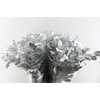 Euca Populus Berry Metal Silver
