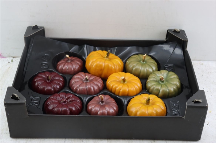 <h4>Wax Baby Boo Autumn Mix X10</h4>