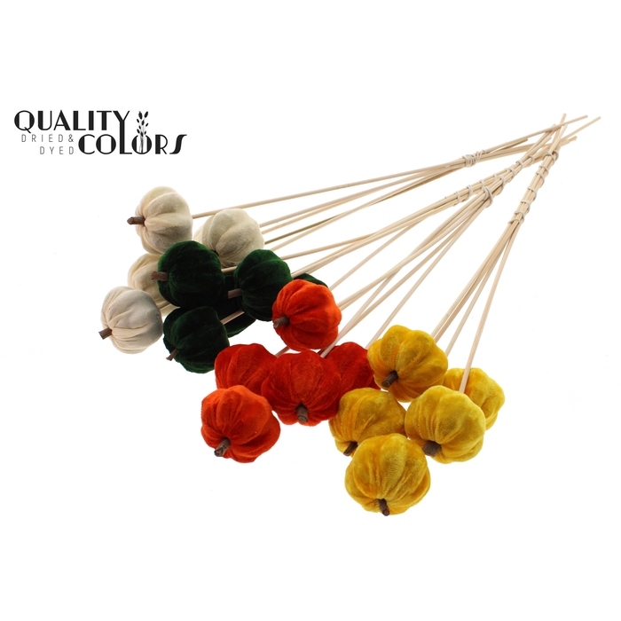 <h4>Velvet Pumpkin Ø6cm on stem Pumpkin Mix</h4>